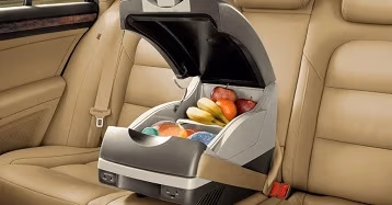 Cum să alegem un auto-frigider