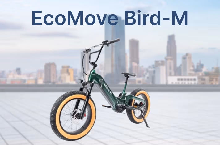 Электровелосипед Bird-M: 100 км на одном заряде