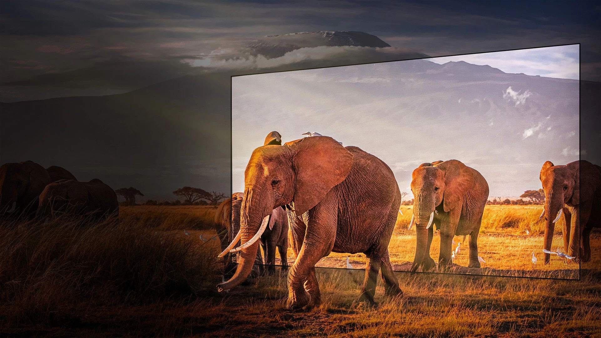 4K Mini LED Hisense 55U8KQ block specification img 6