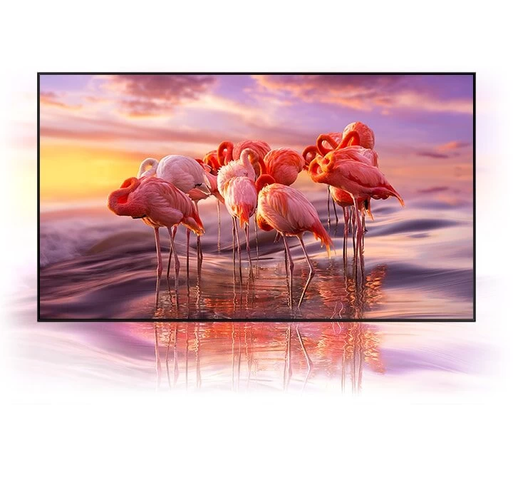 Televizor QLED Samsung QE55Q80T block specification img 6