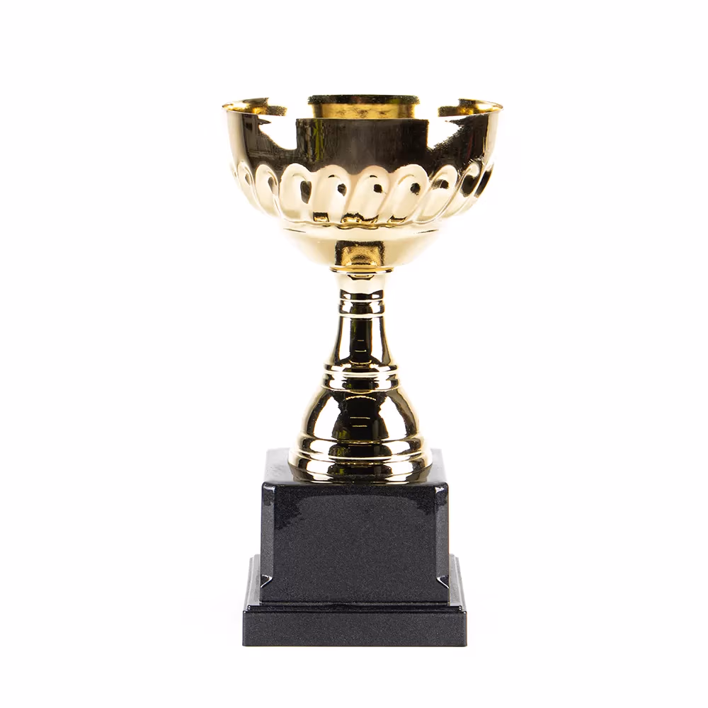 Кубок HAOYUNQI Gold Cup