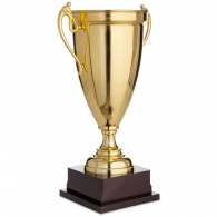 Кубок HAOYUNQI Trophy thumbnav 2