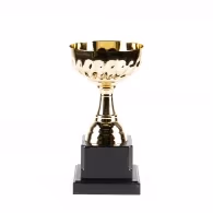 Cupe HAOYUNQI Gold Cup