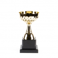 Cupe HAOYUNQI Gold Cup thumbnav