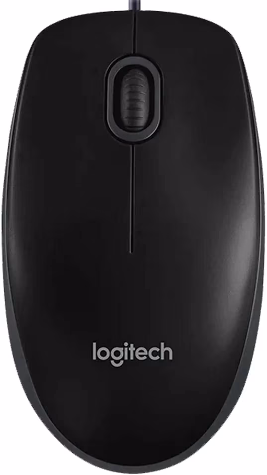 Mouse Logitech B100 
