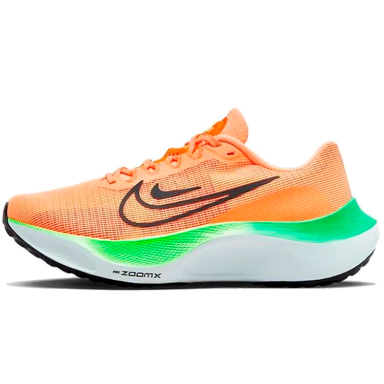 Кроссовки Nike WMNS ZOOM FLY 5 photo Кроссовки Nike WMNS ZOOM FLY 5 photo