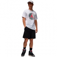 Tricou Nike M J JUMPMAN HBR SS CREW thumbnav 5