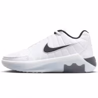 Incaltaminte Sport Nike LEBRON WITNESS IX (GS)