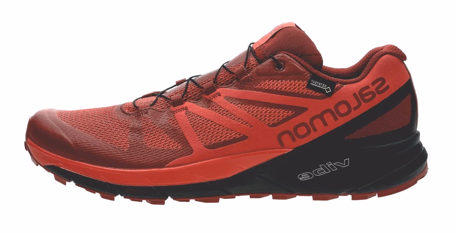 Incaltaminte Sport Salomon SENSE RIDE GTX INVISIBLE FIT RD D