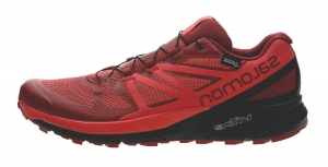 Кроссовки Salomon SENSE RIDE GTX INVISIBLE FIT RD D thumbnav 1