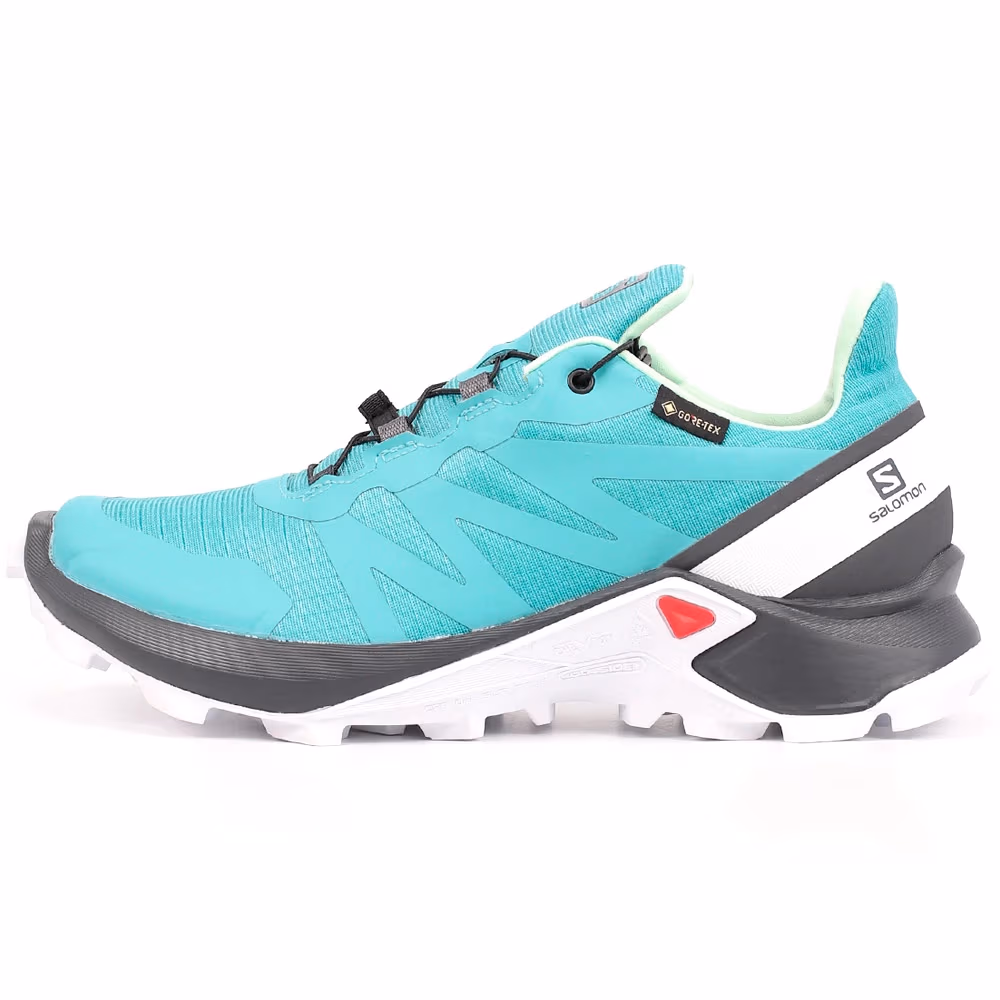 Incaltaminte Sport Salomon SHOES SUPERCROSS GTX