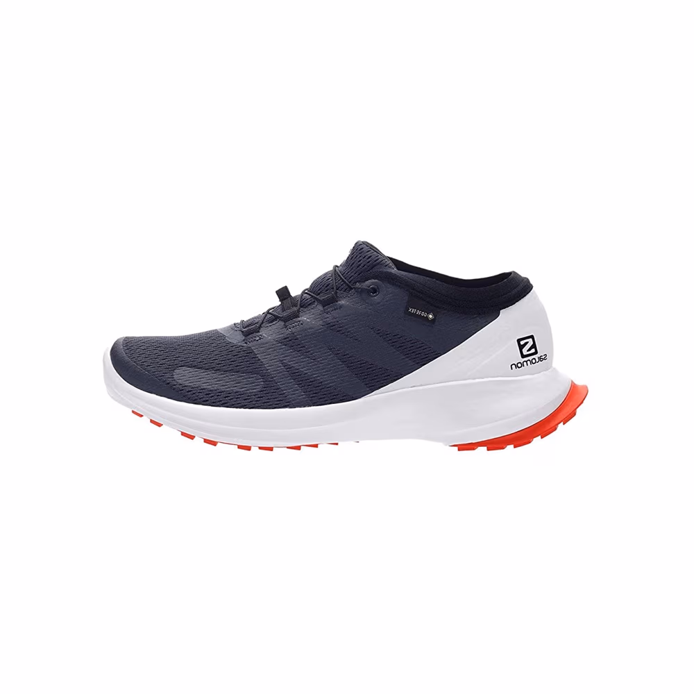 Incaltaminte Sport Salomon SHOES SENSE FLOW GTX