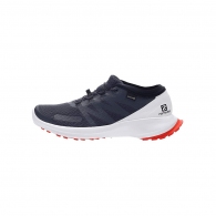 Incaltaminte Sport Salomon SHOES SENSE FLOW GTX thumbnav