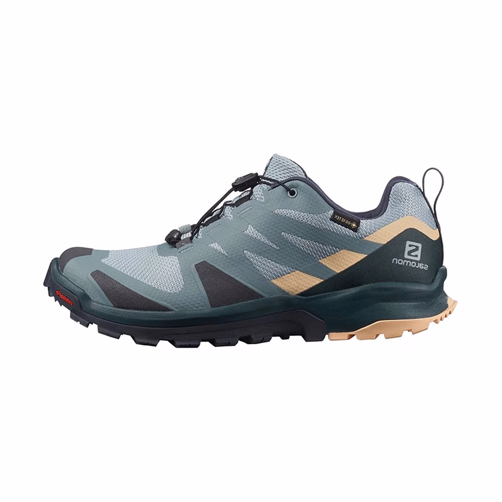 Кроссовки Salomon SHOES XA ROGG GTX W