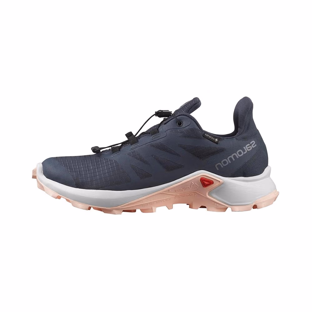 Incaltaminte Sport Salomon SUPERCROSS 3 GTX W
