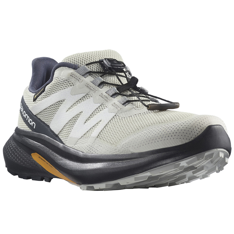 Кроссовки Salomon SHOES HYPULSE GTX W / Женский / 36.5 / Бежевый photo 2