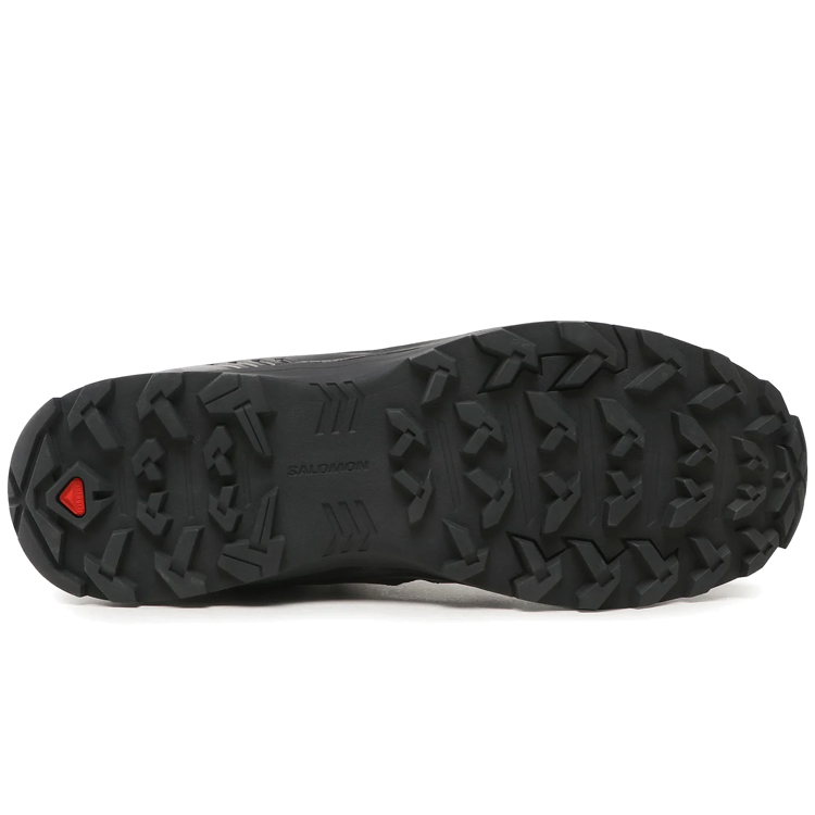 Ghete Salomon X BRAZE MID GTX pt Barbati / 45.5 / Negru-gri photo 3