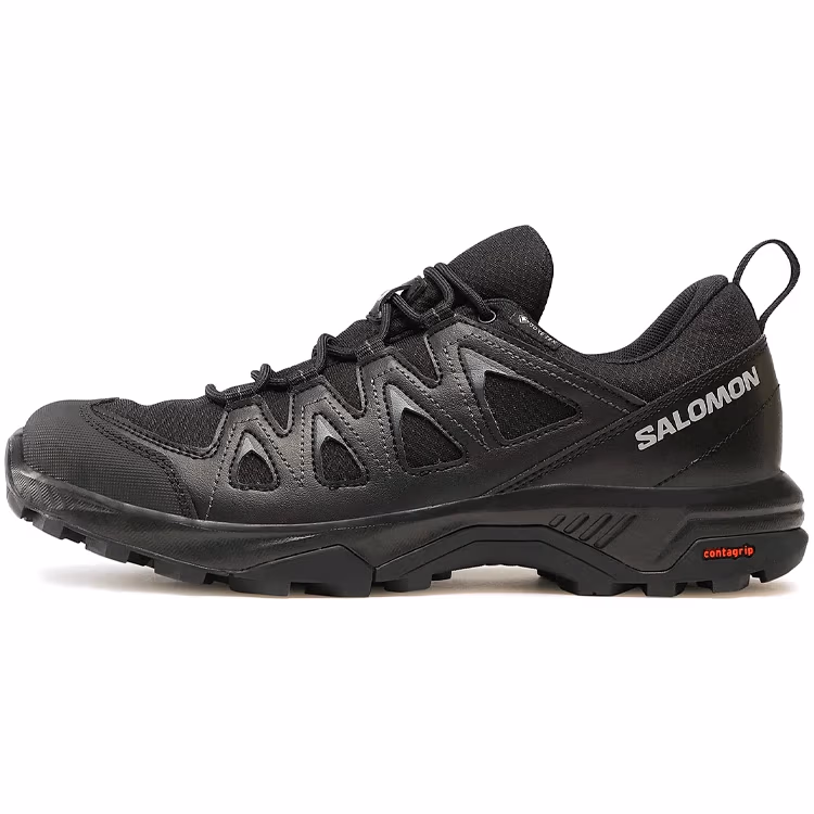Incaltaminte Sport Salomon BRAZE GTX