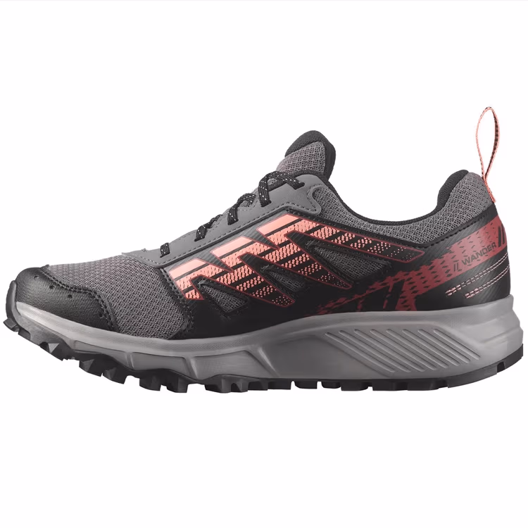 Incaltaminte Sport Salomon SHOES WANDER GTX W