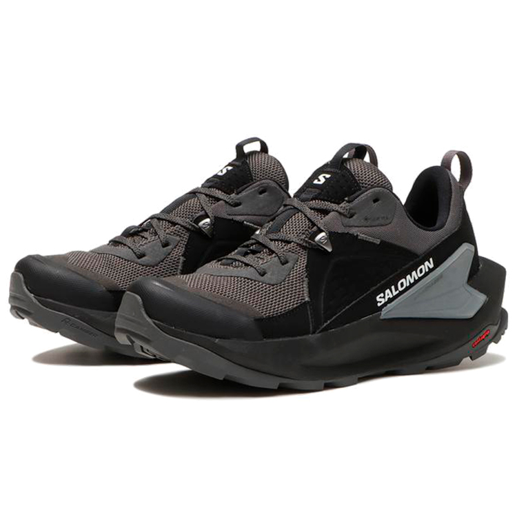 Incaltaminte Sport Salomon SHOES ELIXIR GTX pt Barbati / 46 / Argintiu photo 3