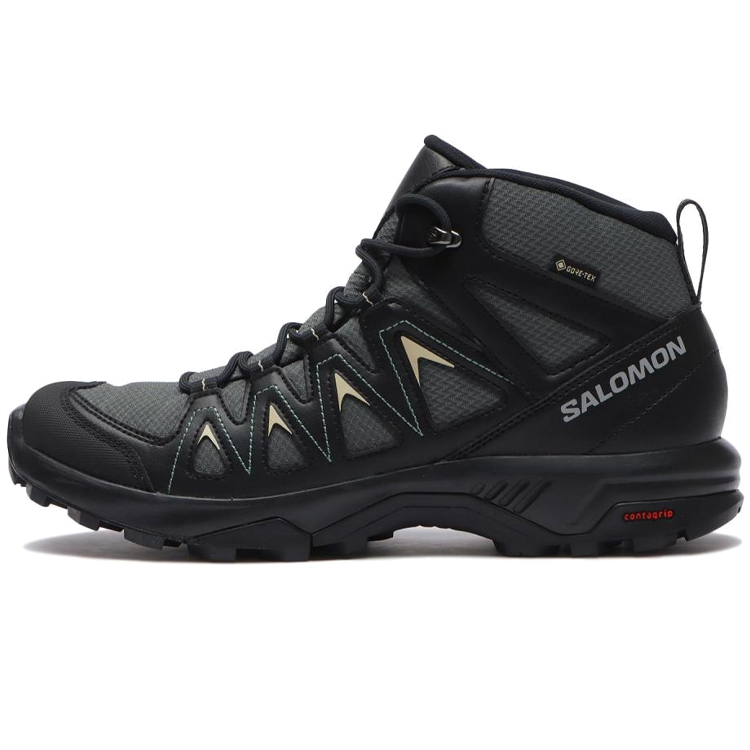 Ботинки Salomon X BRAZE MID GTX photo Ботинки Salomon X BRAZE MID GTX photo