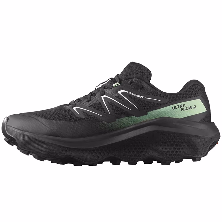 Кроссовки Salomon ULTRA FLOW 2 GTX