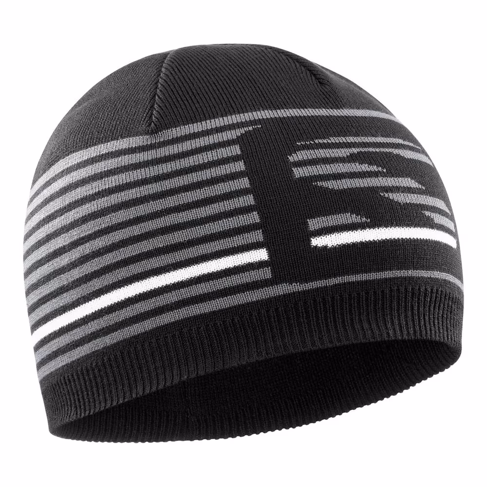 Caciula Salomon FLATSPIN SHORT BEANIE