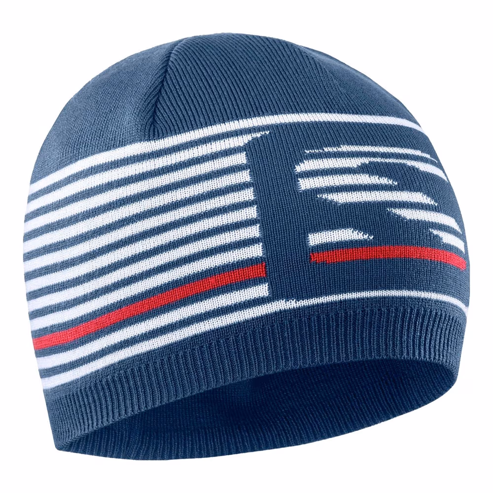 Caciula Salomon FLATSPIN SHORT BEANIE