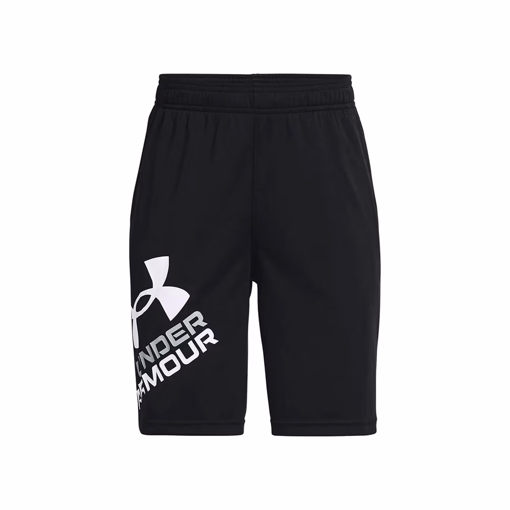 Шорты Under Armour UA BGS PROTOTYPE 2.0 LOGO SHORTS