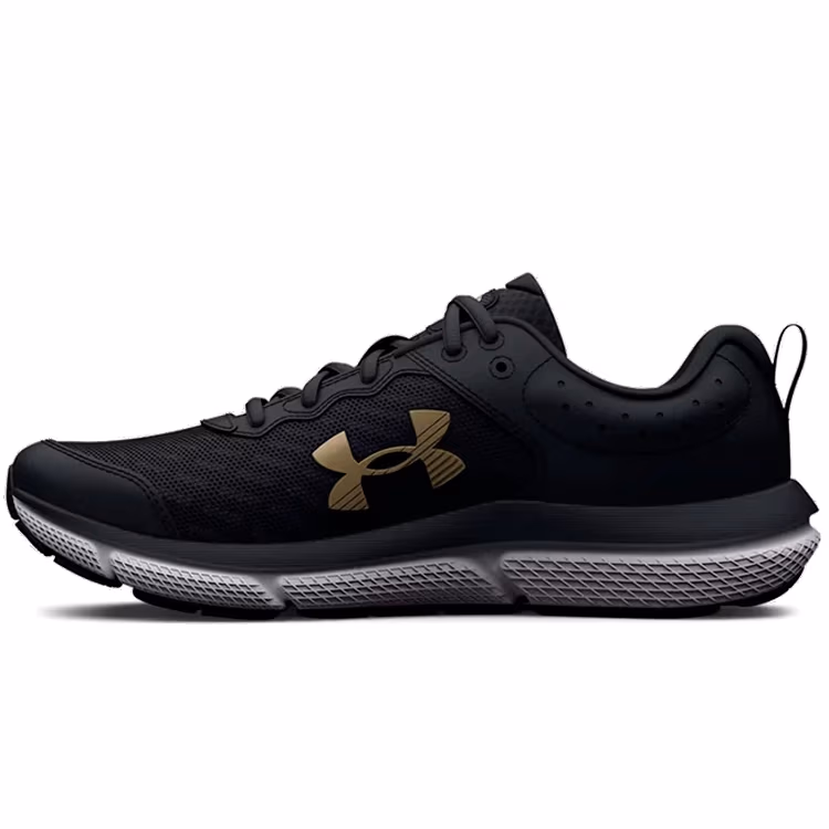 Кроссовки Under Armour UA GGS ASSERT 10 