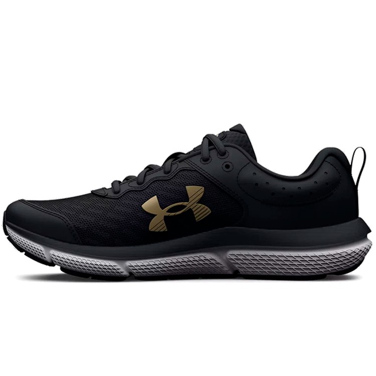 Кроссовки Under Armour UA GGS ASSERT 10 photo 