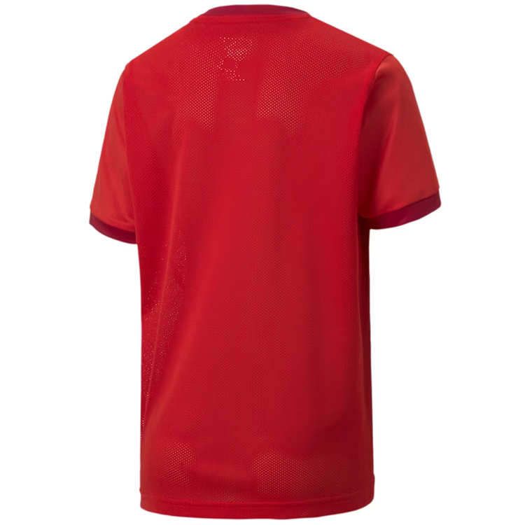 Tricou Puma teamGOAL 23 Jersey jr photo 2