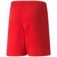 Sorti Puma teamRISE Short Jr thumbnav 2