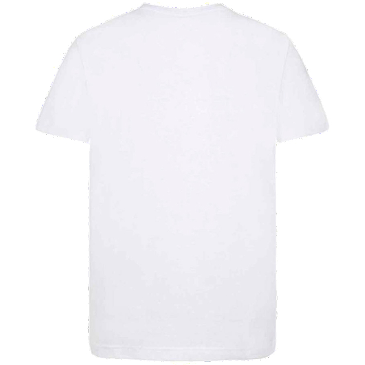 Футболка мужская Nike JDB BREAK THE FRAME SS TEE S Белый photo 3