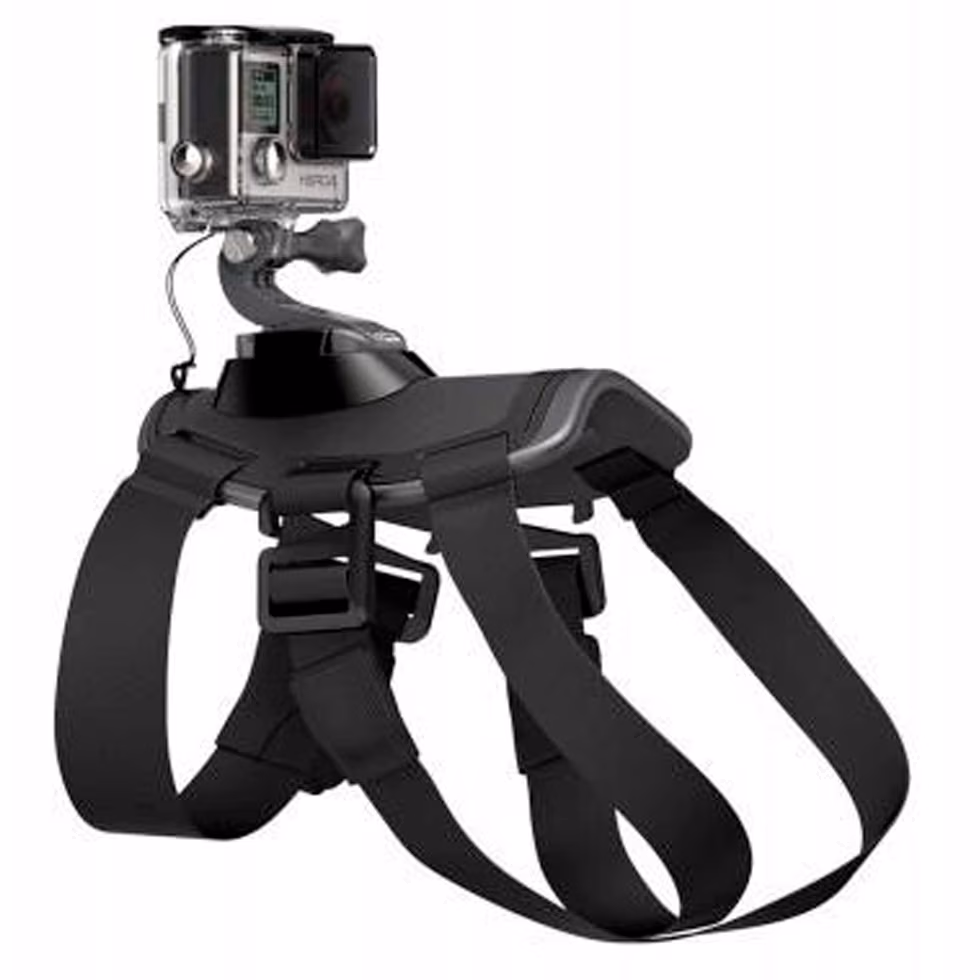 Suport-ham  pentru caine GoPro ADOGM 001