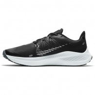 Кроссовки Nike WINFLO 7 SHIELD thumbnav 1