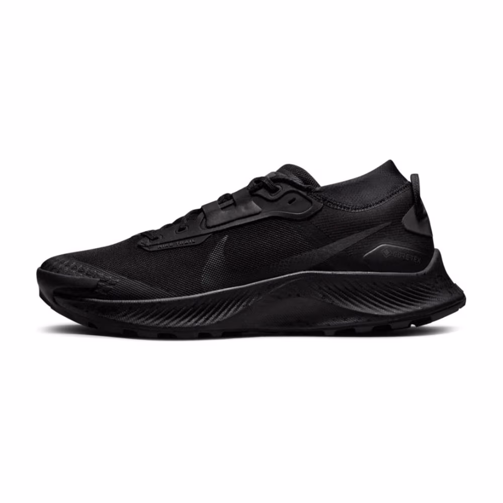 Кроссовки Nike PEGASUS TRAIL 3 GTX