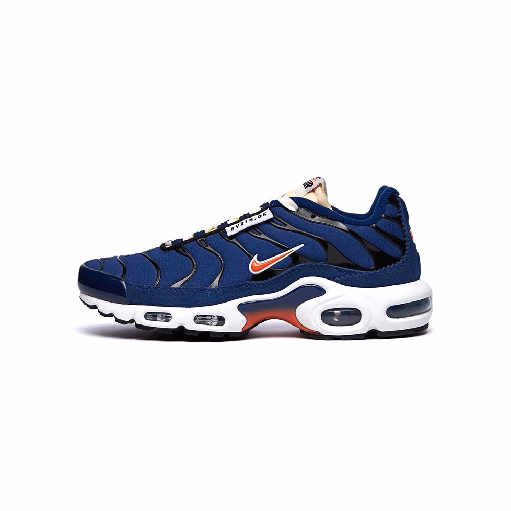 Кроссовки Nike AIR MAX PLUS SE