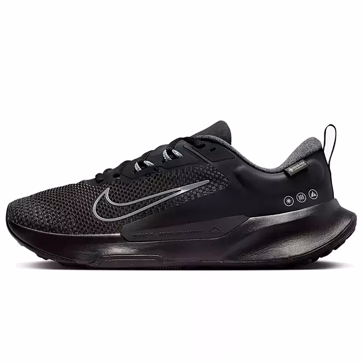 Кроссовки Nike JUNIPER TRAIL 2 GTX V2