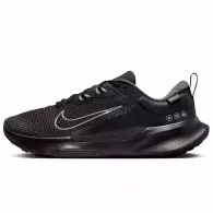 Кроссовки Nike JUNIPER TRAIL 2 GTX V2