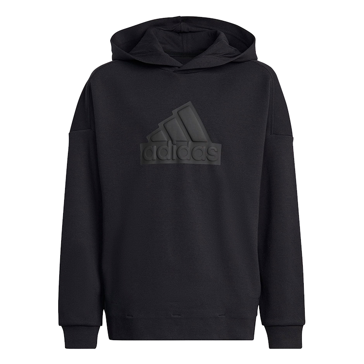 Толстовка Adidas U FI LOGO HD photo 1 Толстовка Adidas U FI LOGO HD photo 1