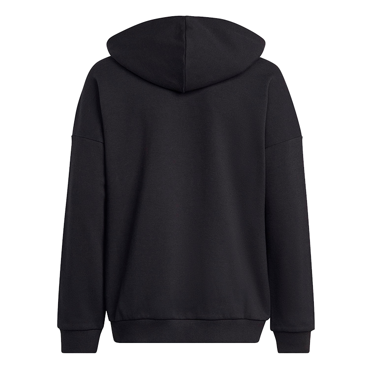 Толстовка Adidas U FI LOGO HD photo 2