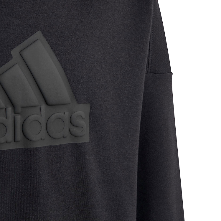 Толстовка Adidas U FI LOGO HD photo 3