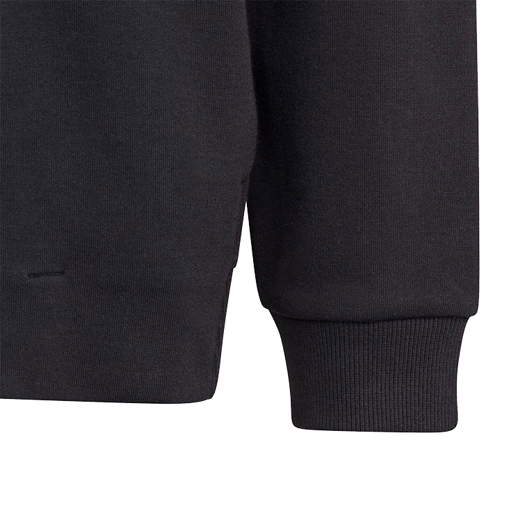 Толстовка Adidas U FI LOGO HD photo 4