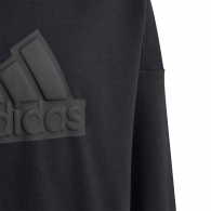 Толстовка Adidas U FI LOGO HD thumbnav 3