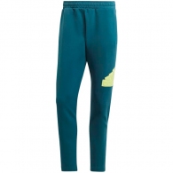 Pantaloni Adidas M FI BOS PT thumbnav