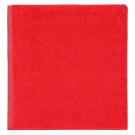 Prosop  Puma TEAM Towel Small thumbnav 2