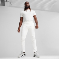 Брюки Puma EVOSTRIPE Pants DK thumbnav 3