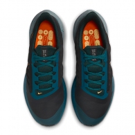 Incaltaminte Sport Nike AIR WINFLO 9 SHIELD thumbnav 5