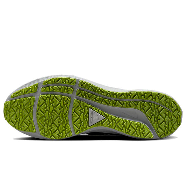 Incaltaminte Sport Nike AIR ZOOM PEGASUS 39 SHIELD photo 2